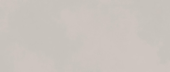 Boost Color Dove 50x120  